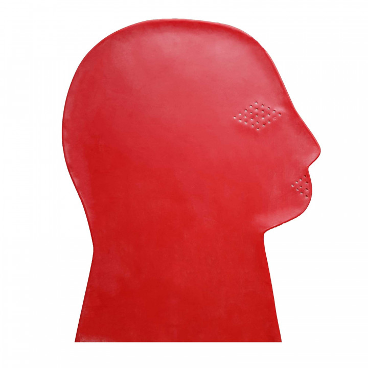 Red Latex Perforated Mask Rubber Hood 100% Natural Latex Unisex One Size
