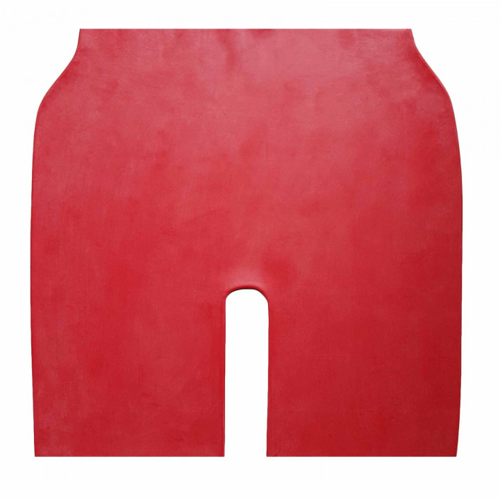Red Latex Cycling Shorts Rubber Bike Shorts 100% Natural Latex One Size